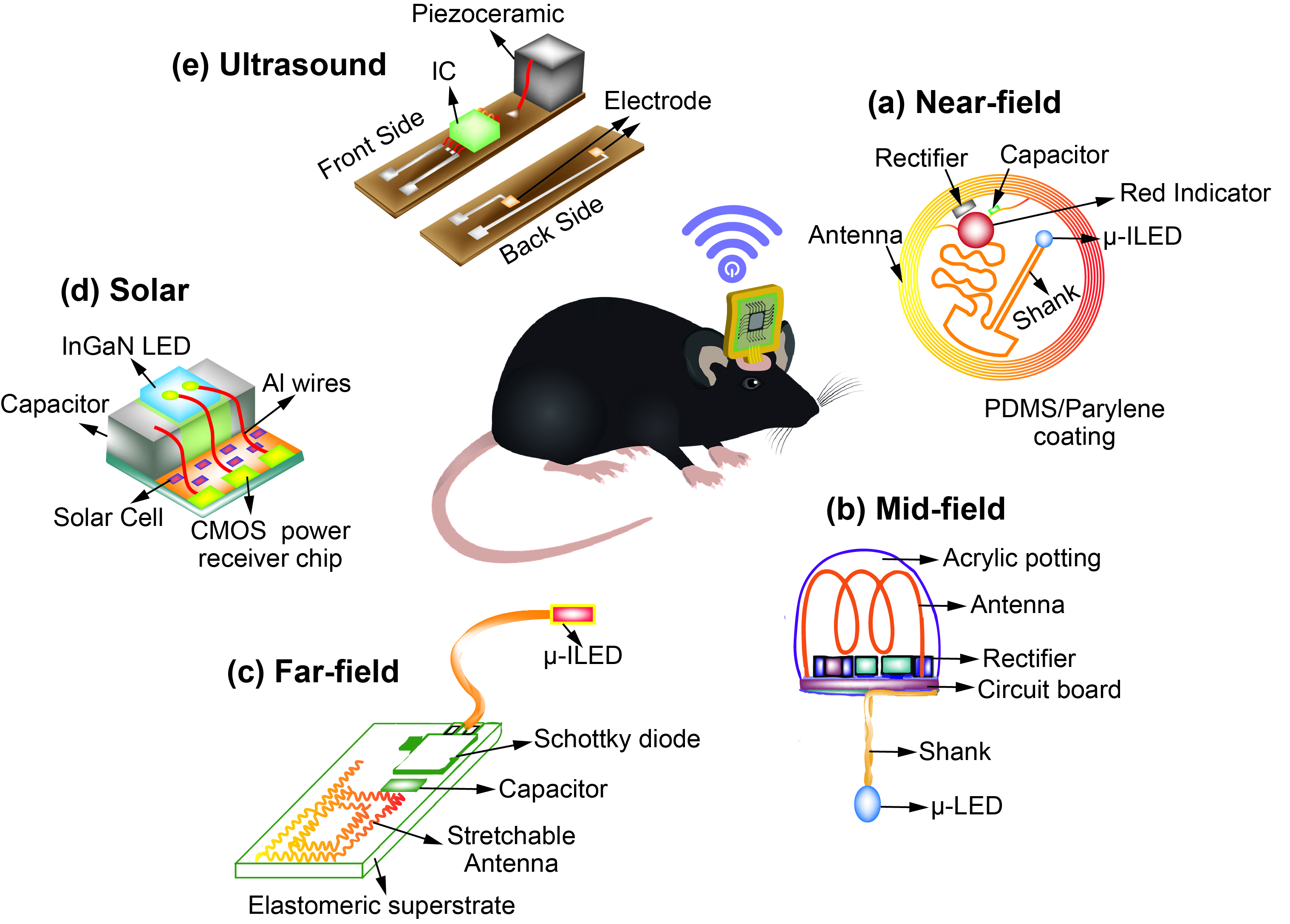 Different methods of wireless powering of neural implant